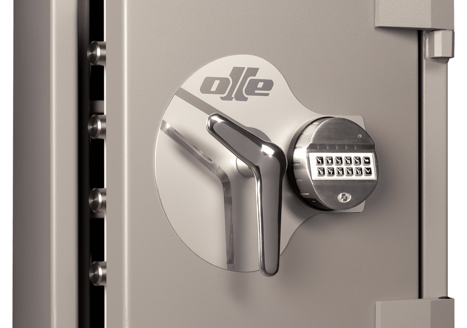 ¿Cajas de Seguridad o Cajas Fuertes?